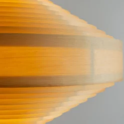 1003 Hans Pendant 60 - Suspension