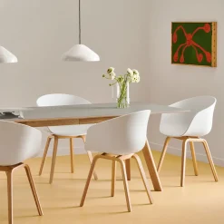 About a chair AAC 22 - pied bois