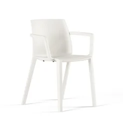 Ador Chaise Polyvalent - Avec Accoudoirs