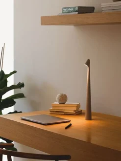 Africa Lampe sans fil