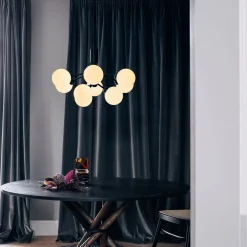 Apiales 9 suspension