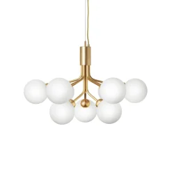 Apiales 9 suspension