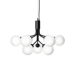 Apiales 9 suspension