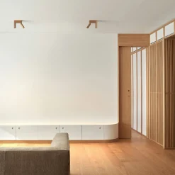 C1 double spot plafonnier