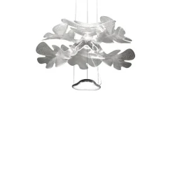 Chlorophilia Suspension