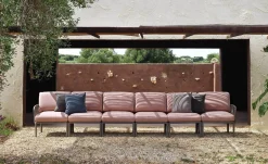 Composition 5 Komodo