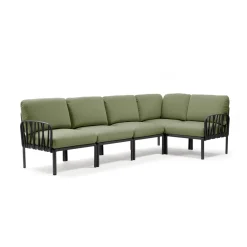 Composition 5 Komodo