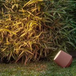 Concreta Terra lampe à poser