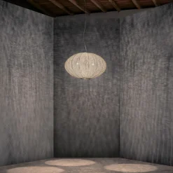 Coral Seaurchin Suspension