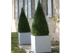 Cubo jardinière