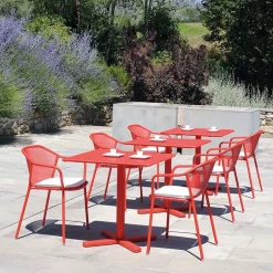 Darwin Table Pliante