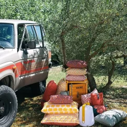 Envie d'ailleurs - coussin cocotiers