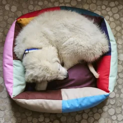 Hay Panier pour chien