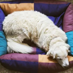 Hay Panier pour chien