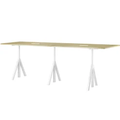 Height-Adjustable conference table