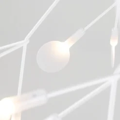 Heracleum III Endless