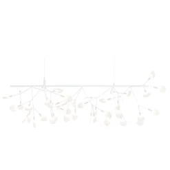 Heracleum III Endless