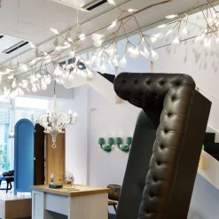 Heracleum III Endless