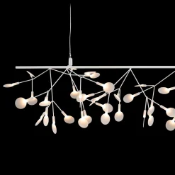 Heracleum III Endless