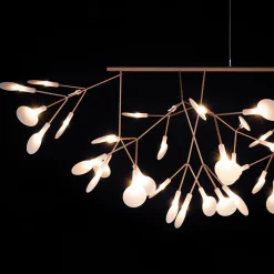 Heracleum III Linear