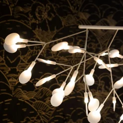 Heracleum III Linear