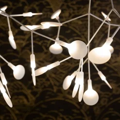 Heracleum III Linear