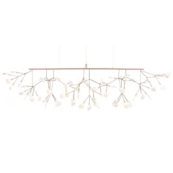 Heracleum III Linear