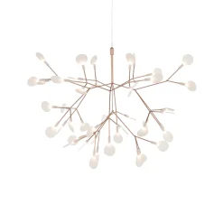 Heracleum III Suspended