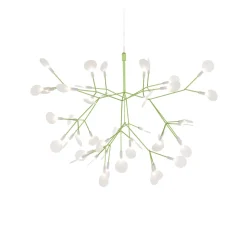Heracleum III Suspended