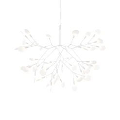 Heracleum III Suspended