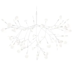 Heracleum III Suspended