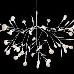 Heracleum III Suspended