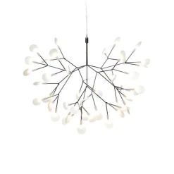 Heracleum III Suspended