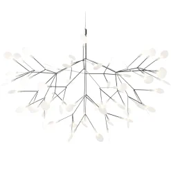 Heracleum III Suspended