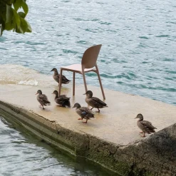 Hug Chaise - Lot de 6