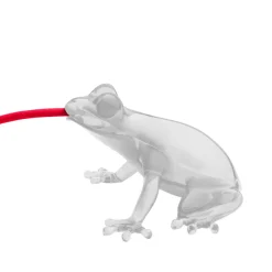 Hungry Frog Lamp