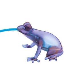 Hungry Frog Lamp