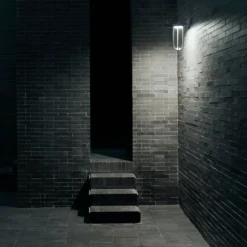 In vitro applique murale