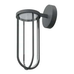 In vitro applique murale