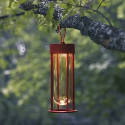 InVitro Unplugged - Nouvelle version