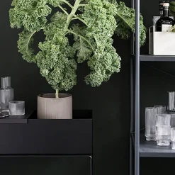 Jardinière Plant Box