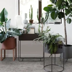 Jardinière Plant Box