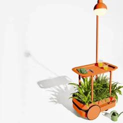 Jolly Trolley - Tangerine