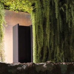 Mais PLus Que Cela Je Ne Peux Pas - Version outdoor