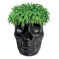 Mexico planter and champagne cooler