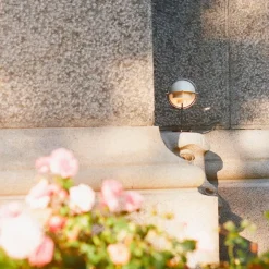 Multi-lite Portable Lamp