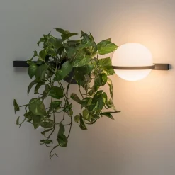 Palma applique horizontale