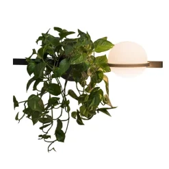 Palma applique horizontale