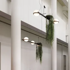 Palma suspension barre