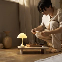 Panthella 160 portable V3